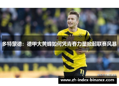 多特蒙德：德甲大黄蜂如何凭青春力量掀起联赛风暴