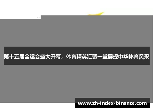 第十五届全运会盛大开幕，体育精英汇聚一堂展现中华体育风采