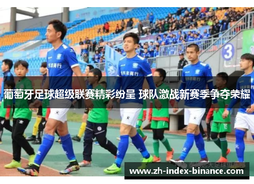 葡萄牙足球超级联赛精彩纷呈 球队激战新赛季争夺荣耀